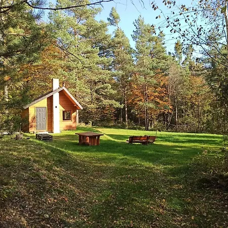 Survivalowa Chata W Lesie Bukowsko Exterior foto