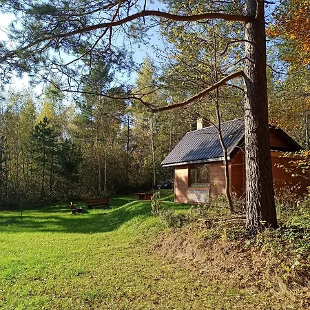 Survivalowa Chata W Lesie Bukowsko Exterior foto