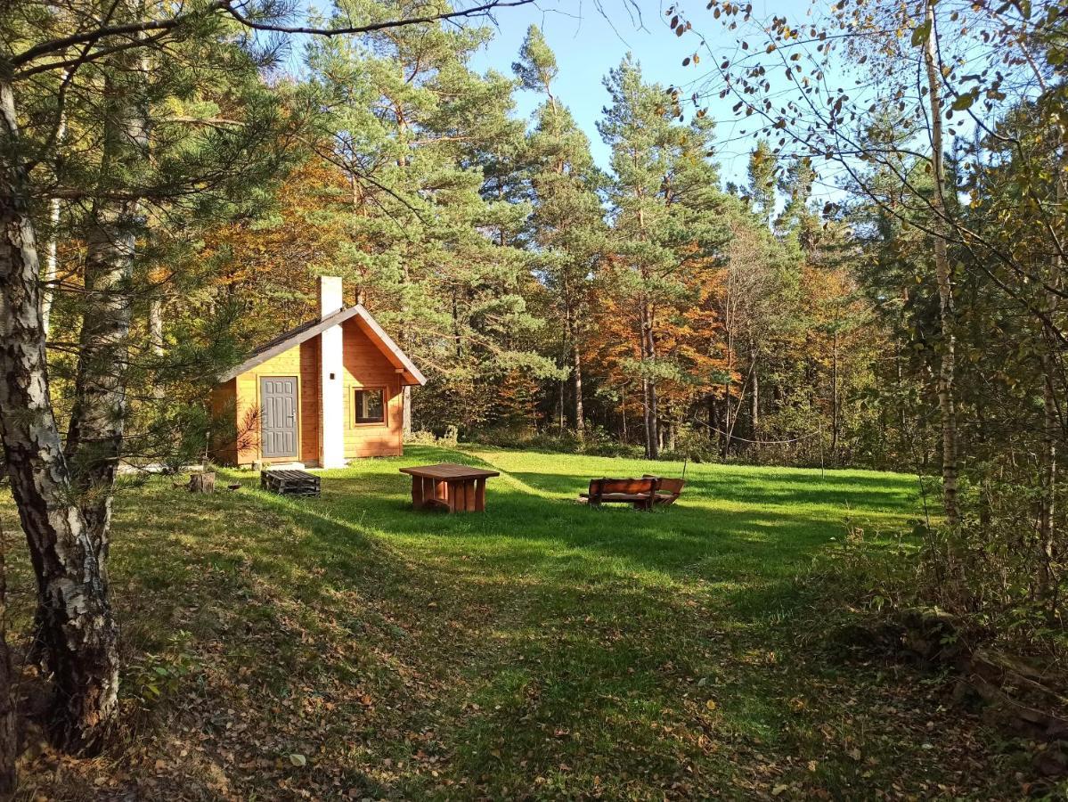 Survivalowa W Lesie Chalet *