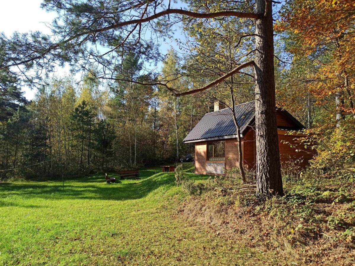 Chalet Survivalowa W Lesie Bukowsko