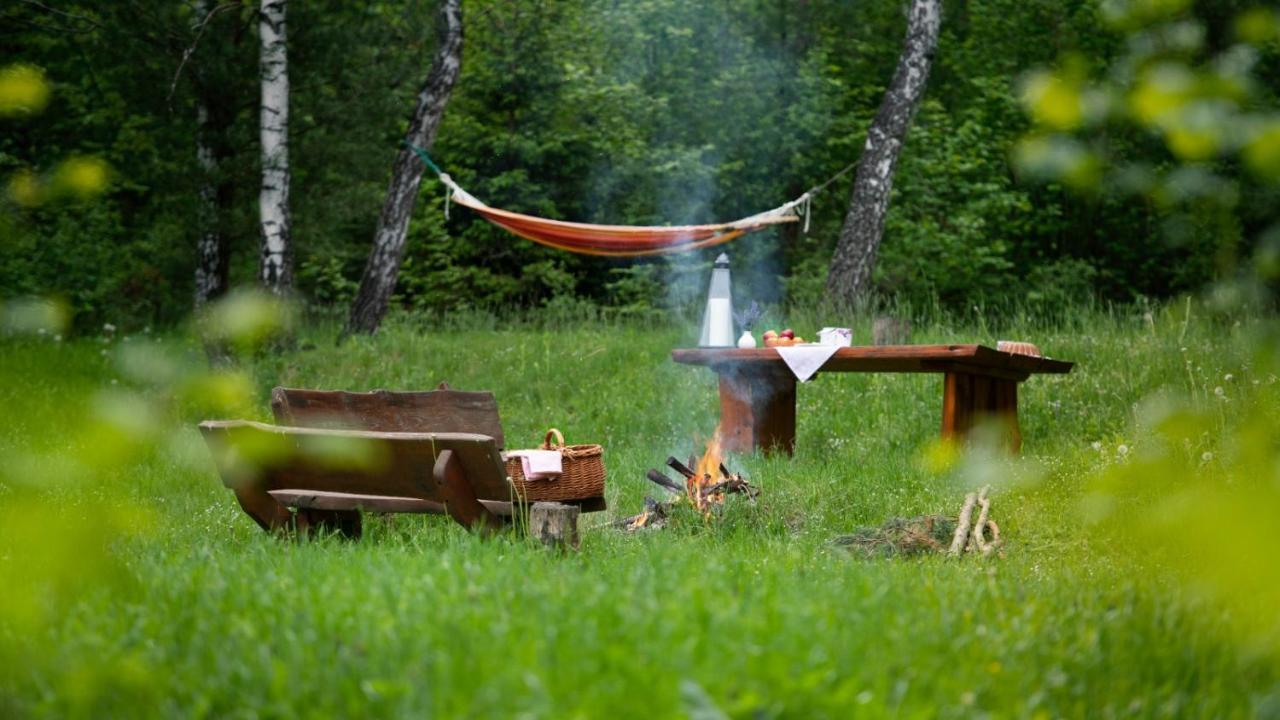 Survivalowa W Lesie Chalet *