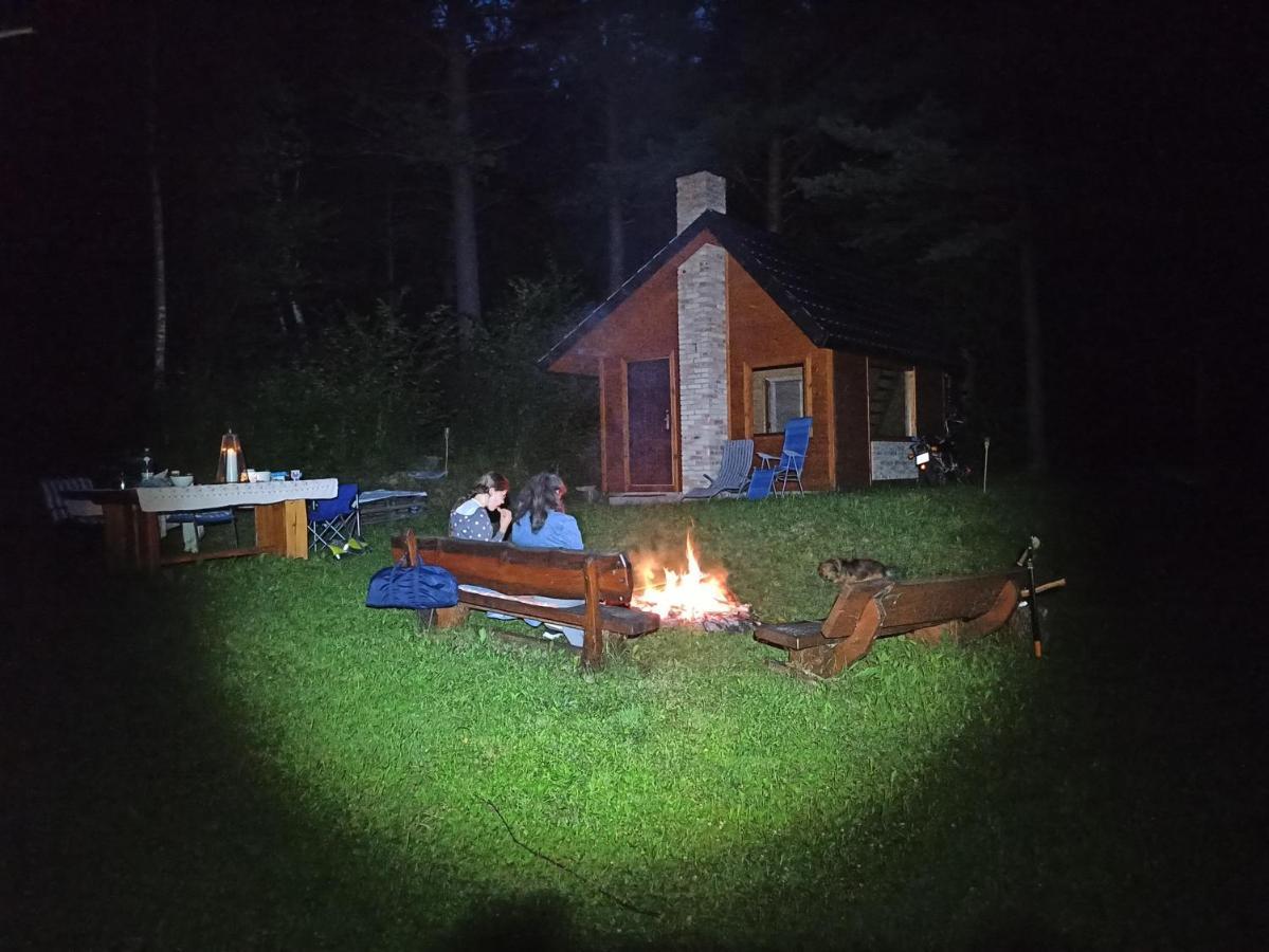 Survivalowa W Lesie Chalet