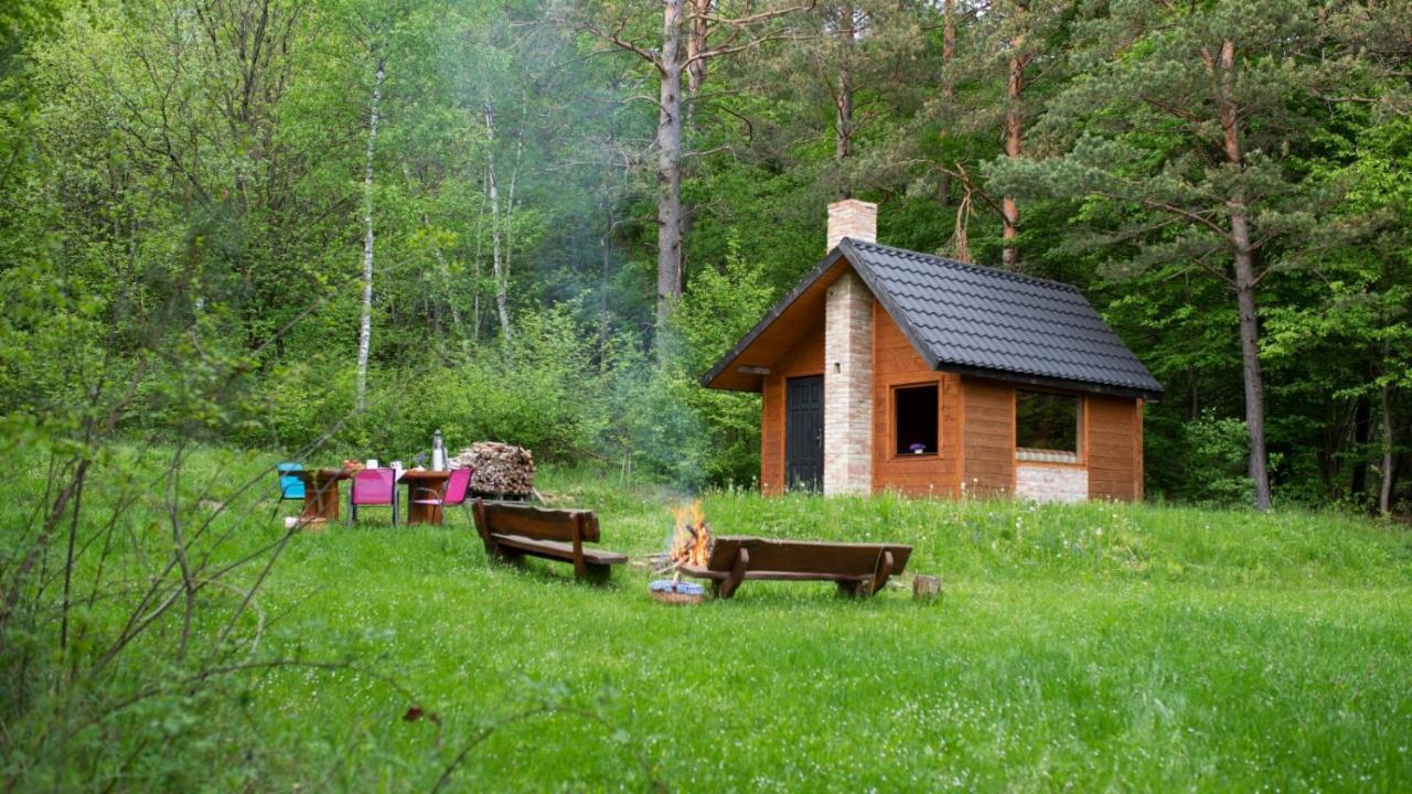 Survivalowa W Lesie Chalet *