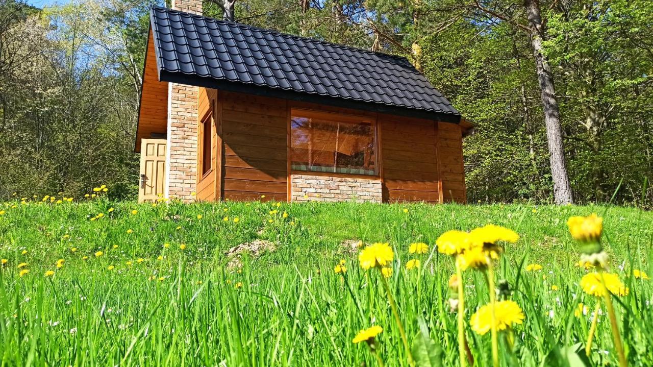 Survivalowa W Lesie Chalet Bukowsko