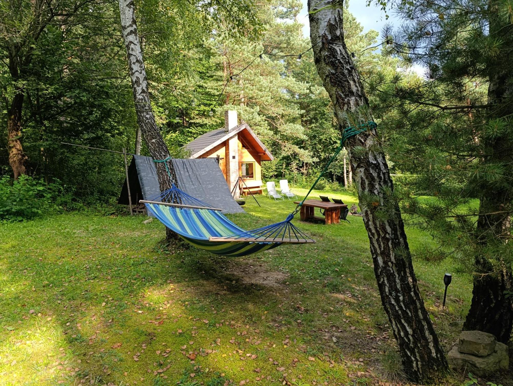 Survivalowa W Lesie Chalet