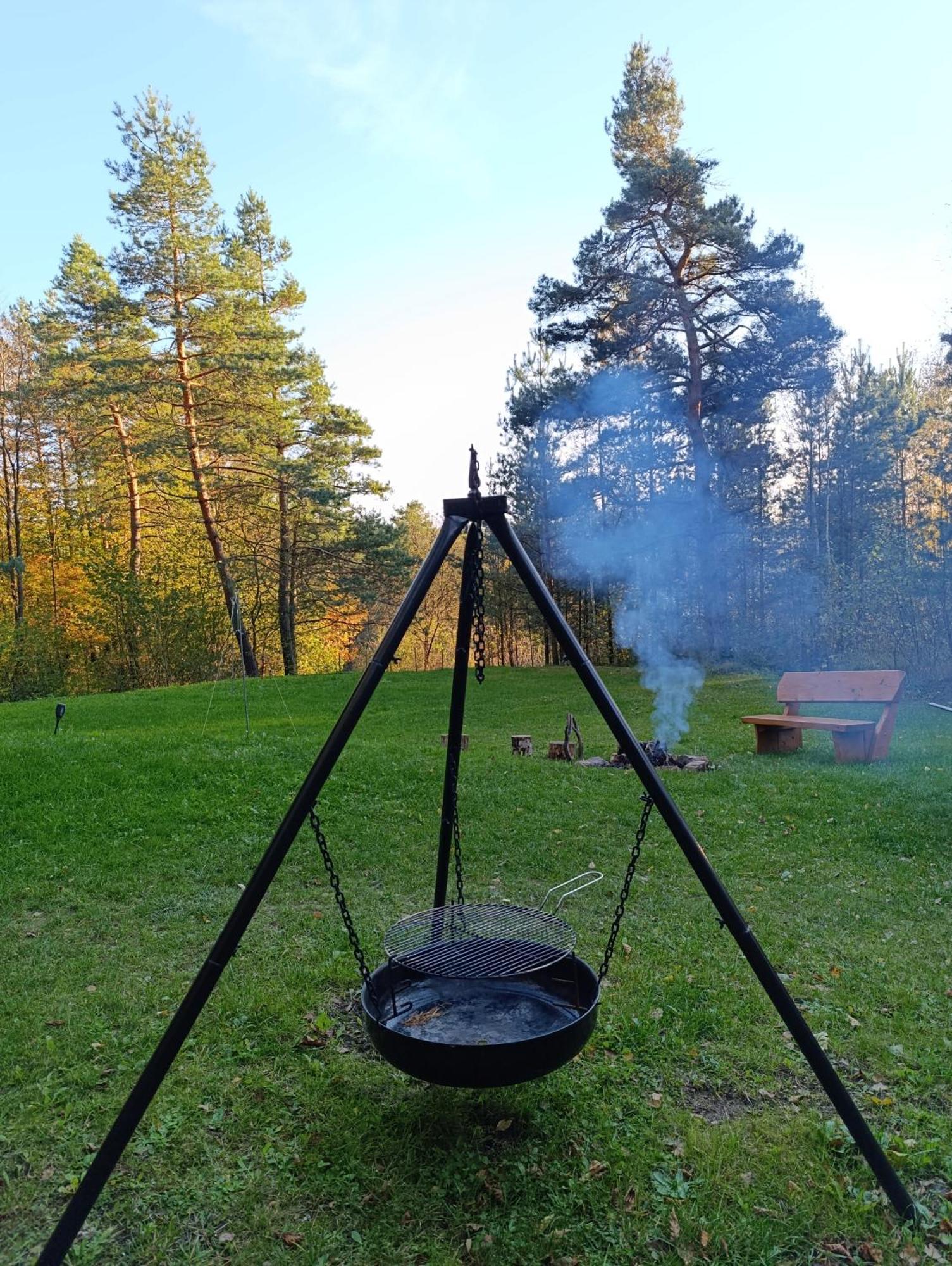 Survivalowa W Lesie